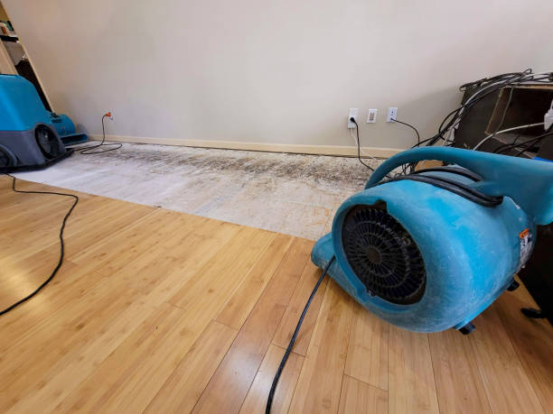 Professional Sewage Cleanup technician working in Bedminster, NJ